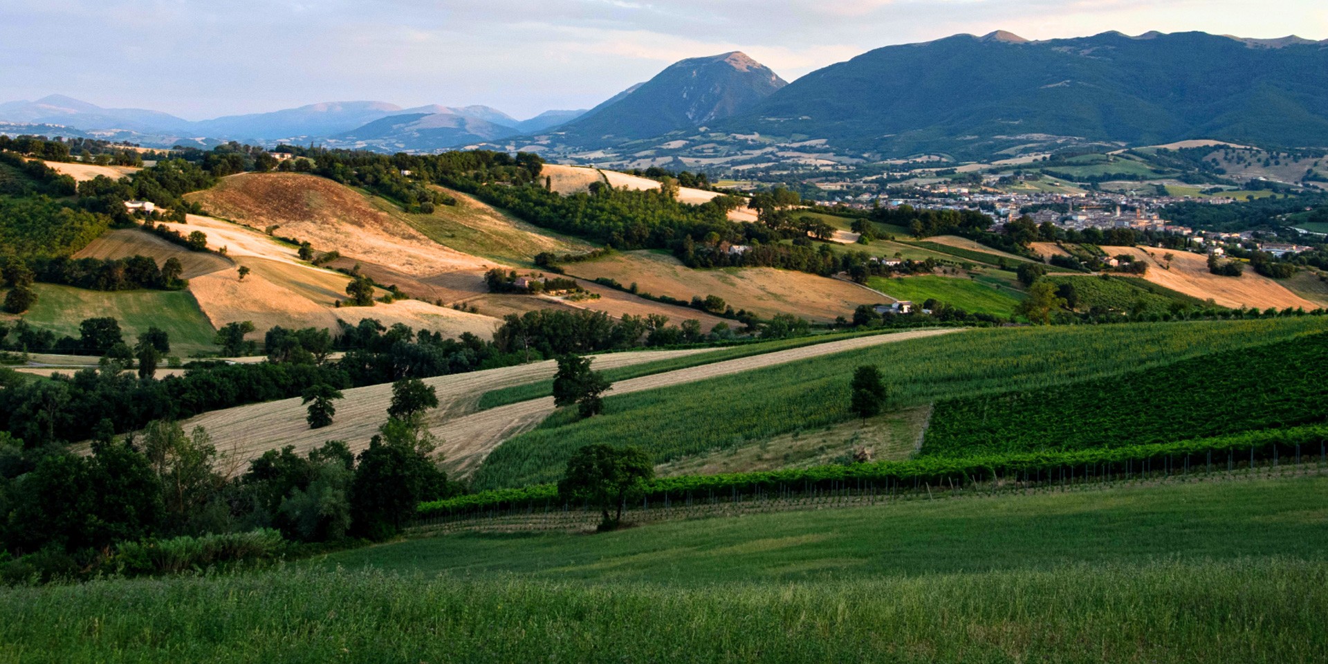(Let’s) Marche: verso una governance turistica dei territori chiara, sostenibile e consapevole