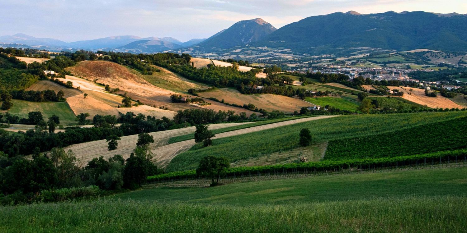 (Let’s) Marche: verso una governance turistica dei territori chiara, sostenibile e consapevole