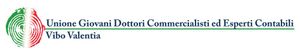 Unione giovani commercialisti Vibo valentia 