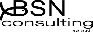 BSN CONSULTING 42 Srl