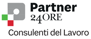 Partner 24 Lavoro