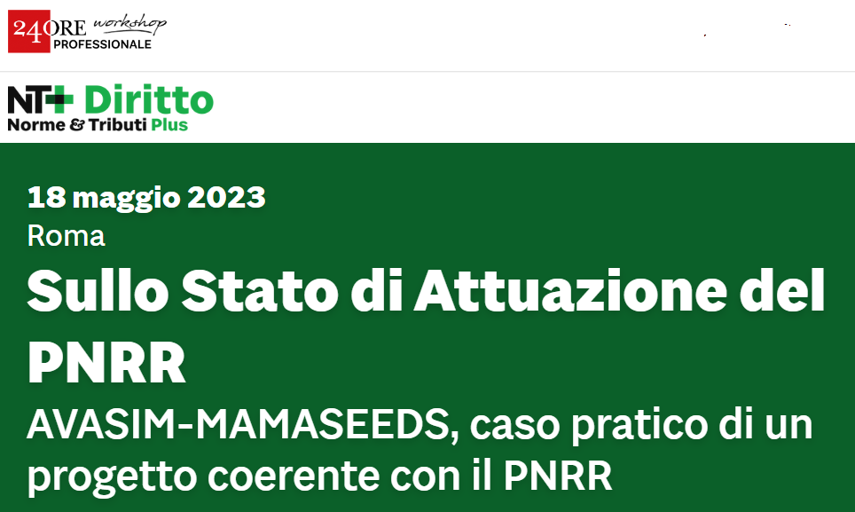 Convegno Sullo Stato Di Attuazione Del Pnrr